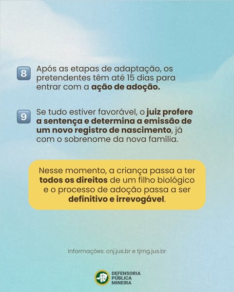 Etapas para adoção: O passo a passo do processo 5