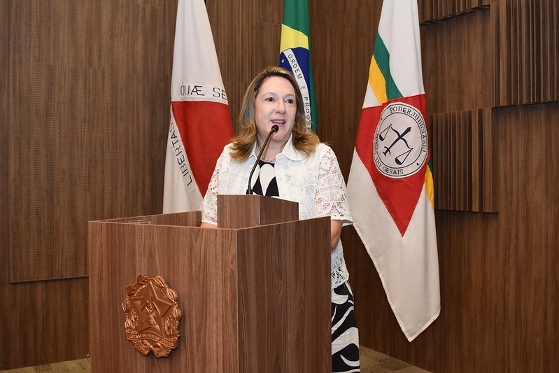 Defensoria Pública participa de apresentação do Programa NÓS a gestores da Educação no TJMG 1